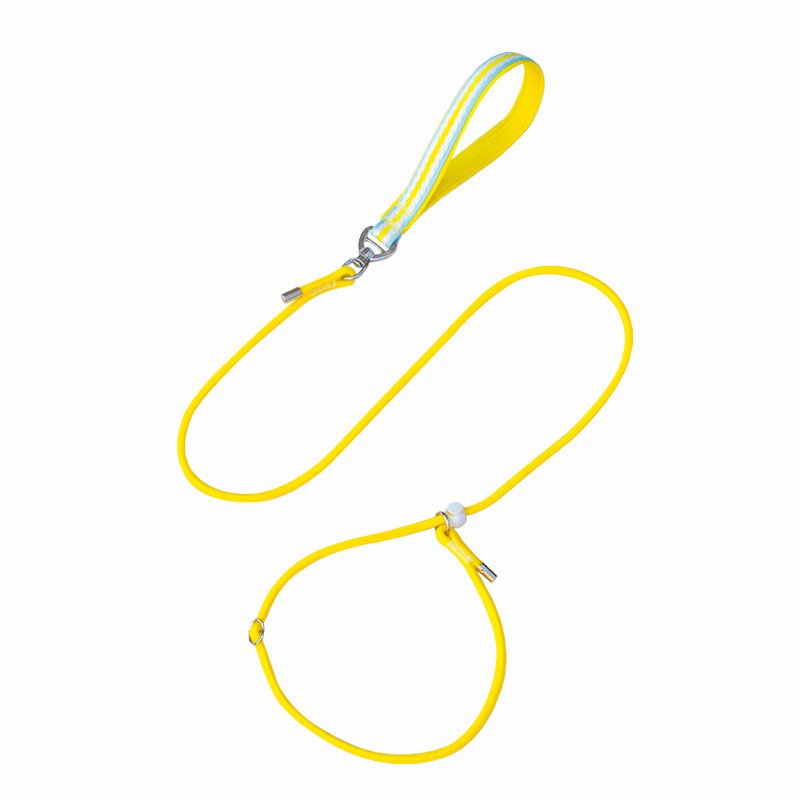 Otenee Amazon Dog Leash P-chain for small to medium dogs, explosion-proof chest and back walking dog leash for puppies, pet walkers available on stock - Image 4