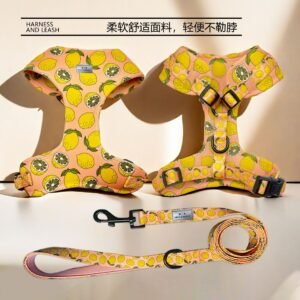 Otenee New Pet Dog Chest Back Harness for Small Dogs, Teddy and Corgi Leash Vest Type Chest Back Walking Rope