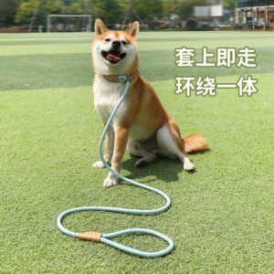 Otenee Cross-border dog leash explosion-proof training for small, medium, and large dogs, dog chain collar, walking with a P-chain or rope pet supplies