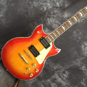 Gibson Made in China with postage Lp