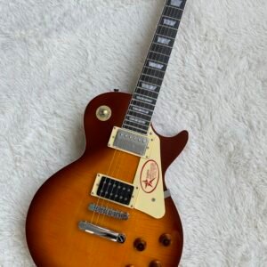 Gibson Made in China with postage Lp