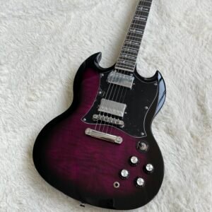 Gibson Made in China with postage Lp