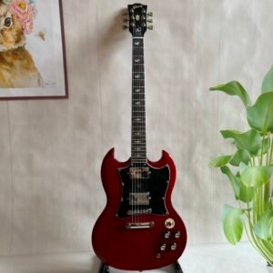 Gibson Made in China with postage